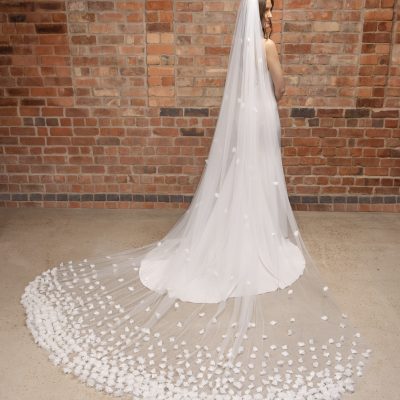 Cathedral length veil style PBV9035